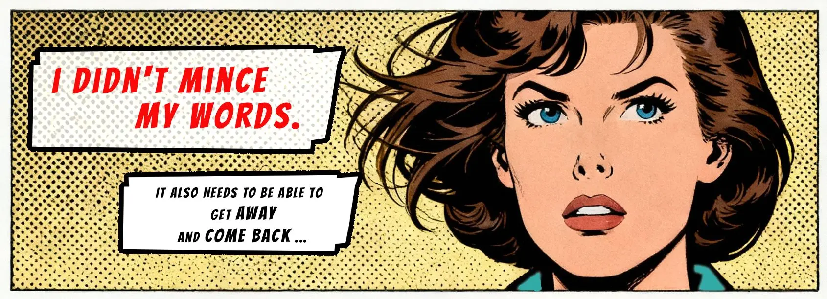 I didn't mince my words